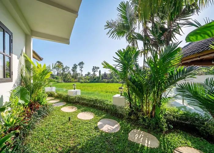 Sarang - Rice Field Views In The Heart Of