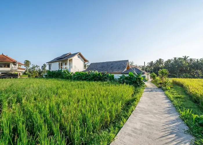 Sarang - Rice Field Views In The Heart Of Ubud
